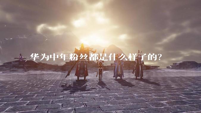 华为中年粉丝都是什么样子的？