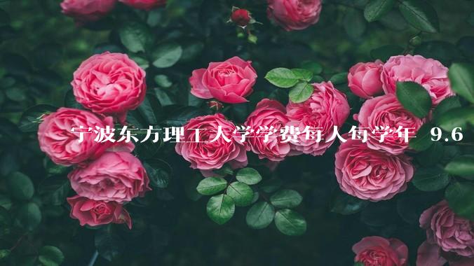 宁波东方理工大学学费每人每学年 9.6 万，为什么会这么贵？